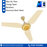 Belvin Fan Regal AC/DC -Ceiling Fan